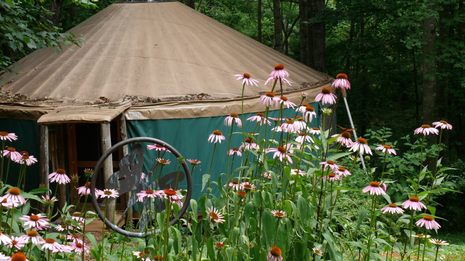 Green Comfort School of Herbal Medicine - Explore Rappahannock VA